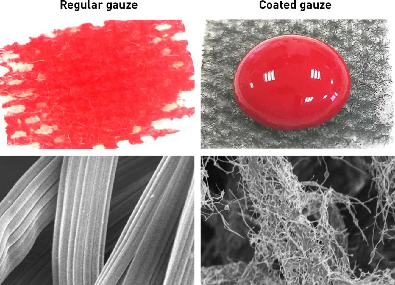 While regular gauze absorbs blood, the coated gauze causes it to bead up – microscope images of the regular and coated cotton fibers are seen below