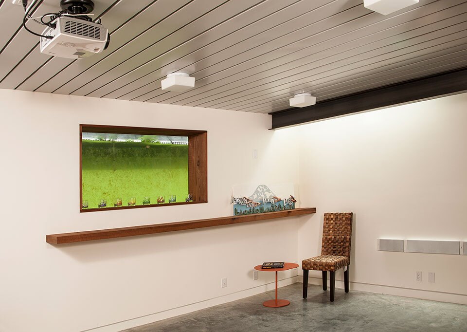 Houseboat H's underwater window, offering a view of the fish habitat