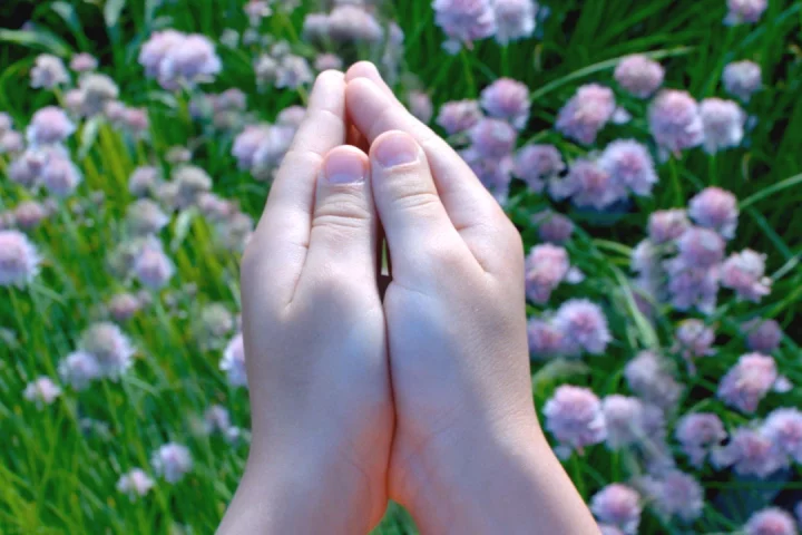 Magic Leap is gradually letting us peak a little closer at what lies inside its hands