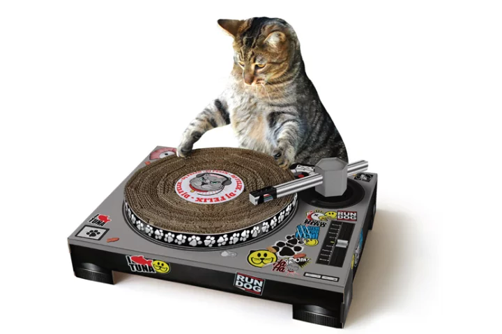 DJ Scratching Deck