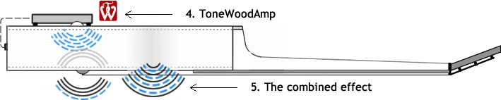 The acoustic guitar's natural sound is combined with effects from the ToneWoodAmp