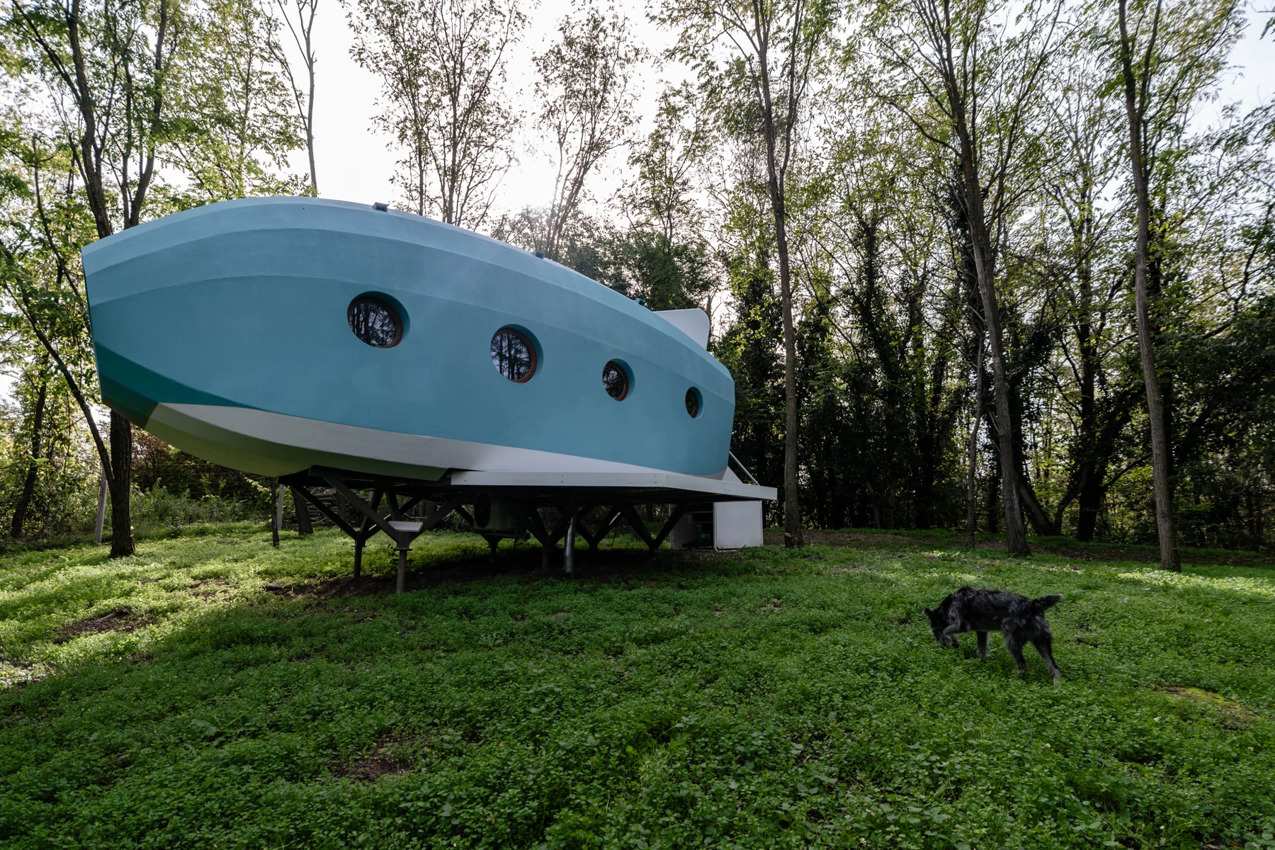 The Jet House was commissioned by a young girl (with some help from her dad) and is designed to resemble an airplane from a cartoon