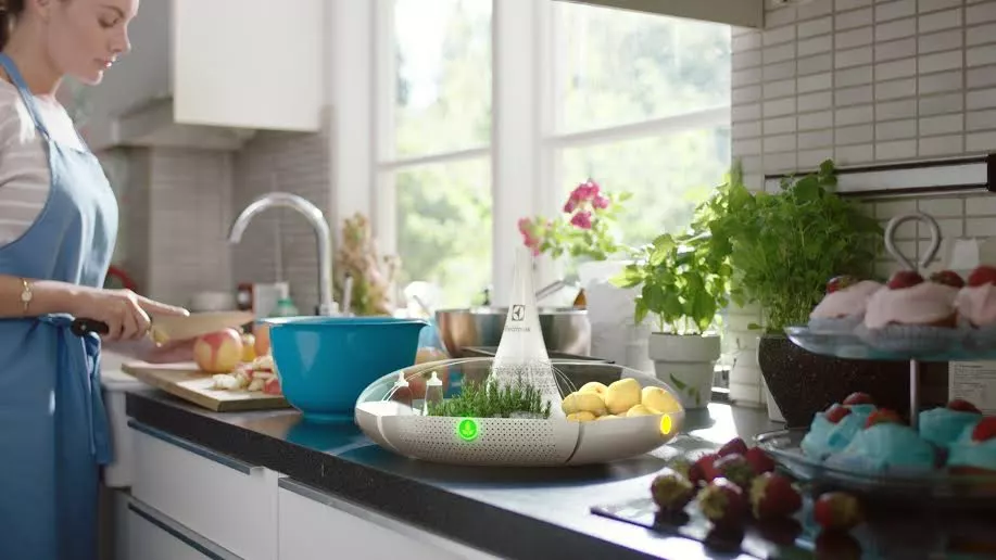 Bloom won the Electrolux Design Lab 2015