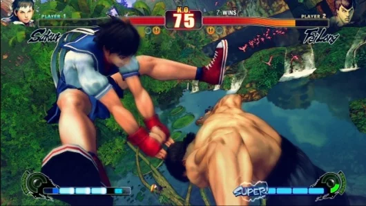 Street Fighter IV