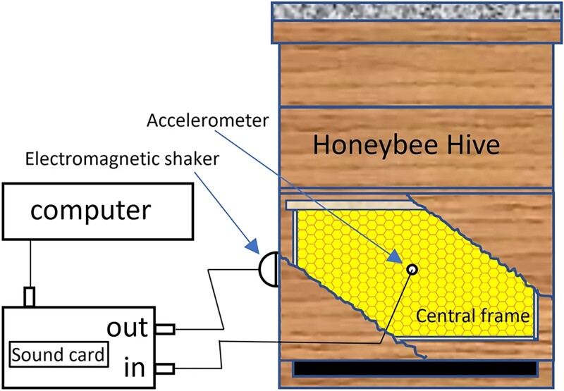 Beekeepers can Now Inspect Hives Without Disturbance ?url=http%3A%2F%2Fnewatlas Brightspot.s3.amazonaws.com%2F7e%2F3e%2F81d7946b4e779d061a0145fbc577%2F41598 2024 54107 Fig1 Html Copy 2