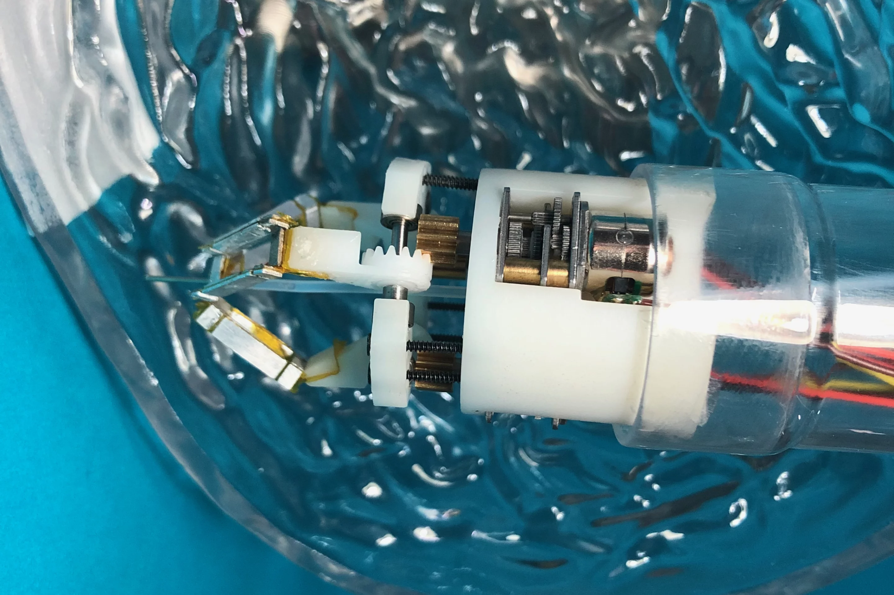The prototype robot within a model of a human stomach
