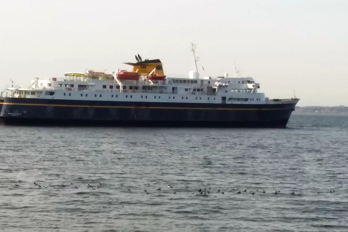 Sea collisions can cause millions of dollars in damage and put lives at risk