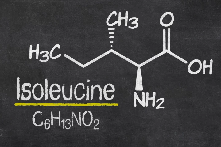 Reducing mice's intake of amino acid isoleucine produced improvements to longevity and health
