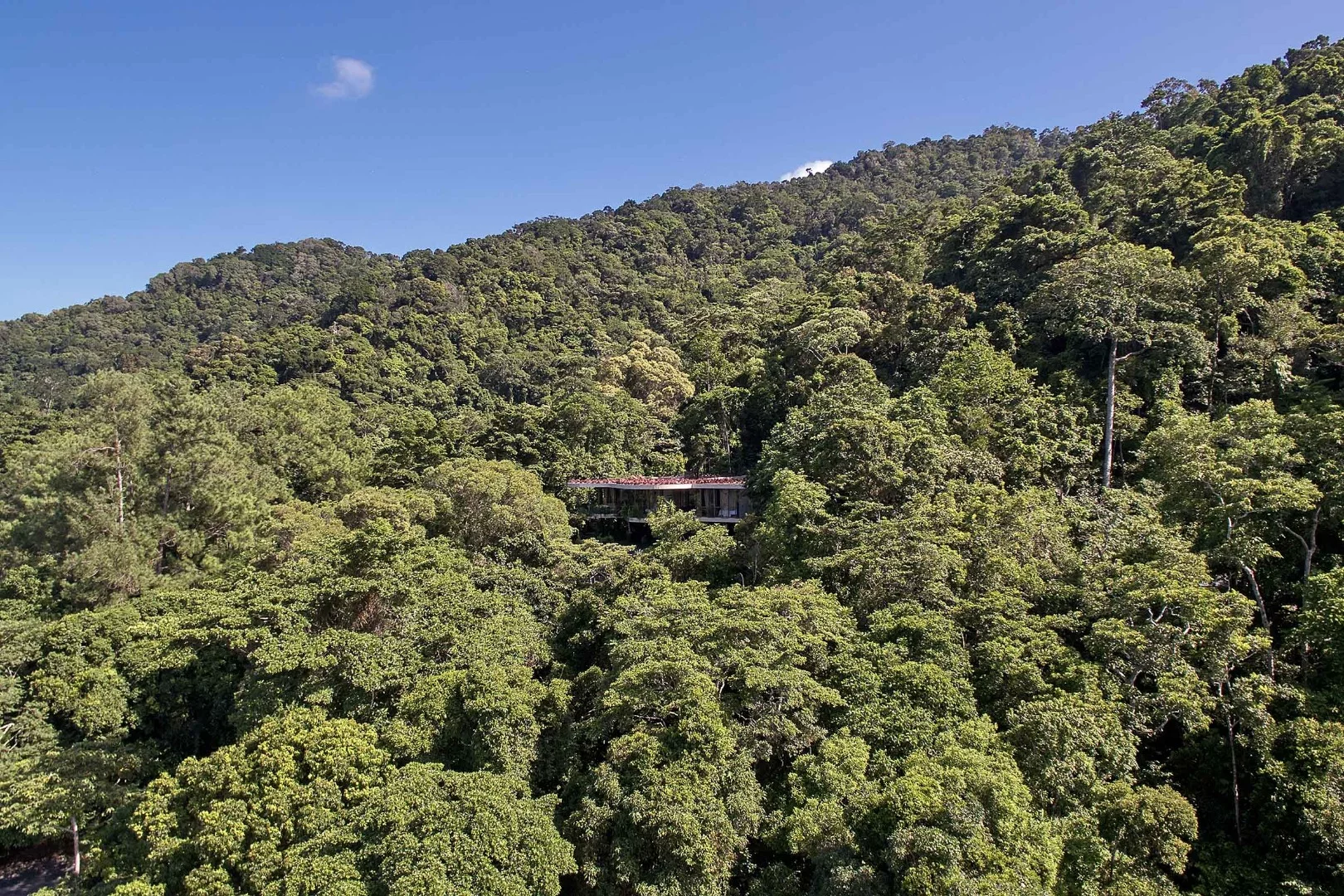 The Planchonella House sits on a 4,818-square-meter block (52,000-sq ft) on the edge of a nature park in the northern Australian coastal city of Cairns