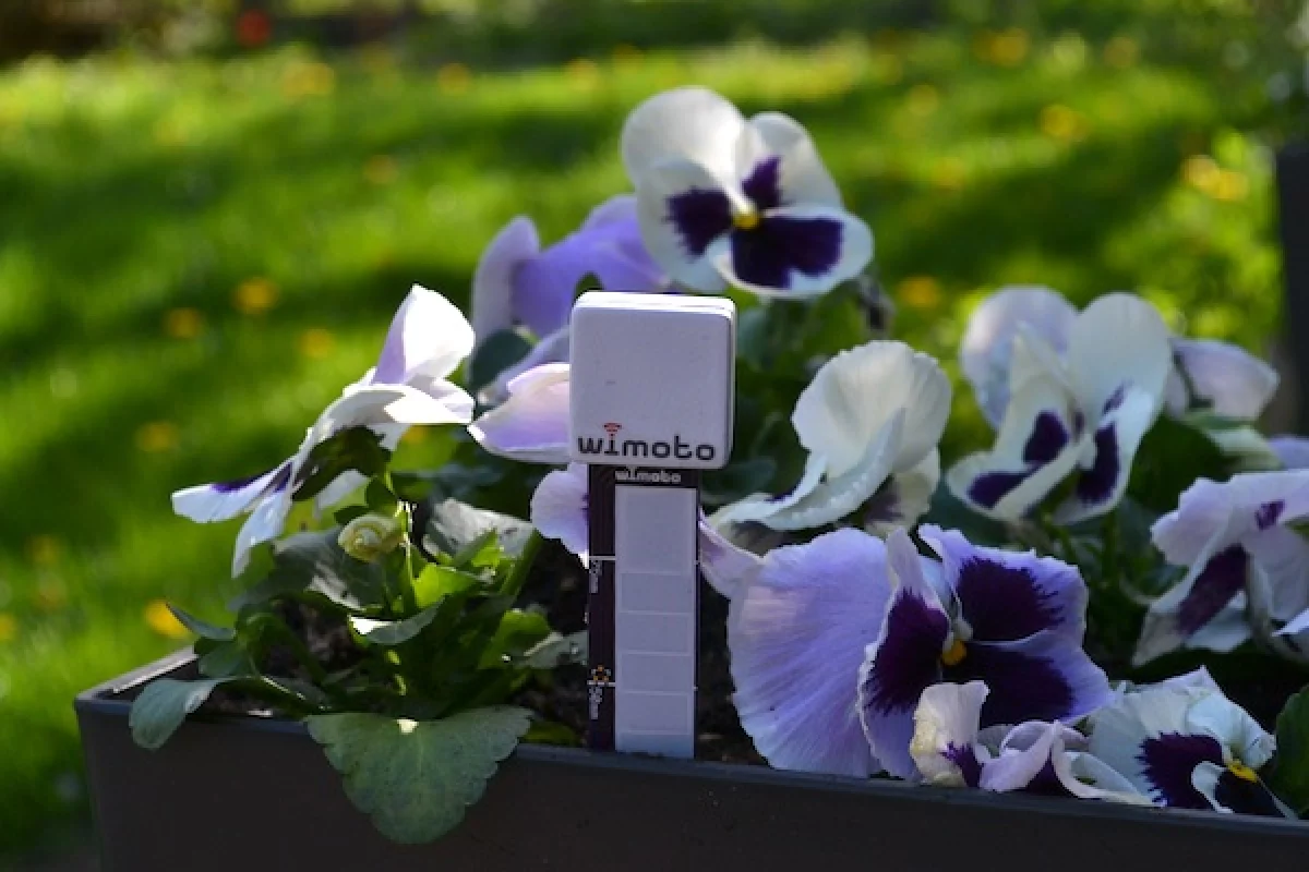 Wimoto's Growmote ... obviously