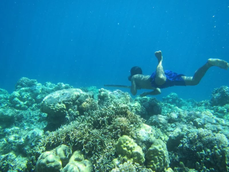 The Bajau people of Southeast Asia spend much of their time diving, and new research has found genetic evidence that they've evolved ways to hold their breath longer