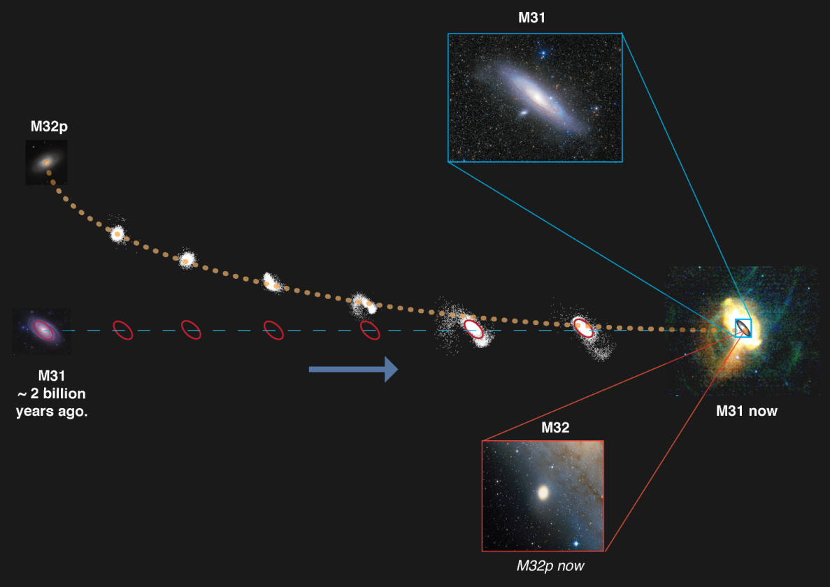 A graphic showing how the M32p progenitor galaxy may have been disrupted and cannibalized by Andromeda