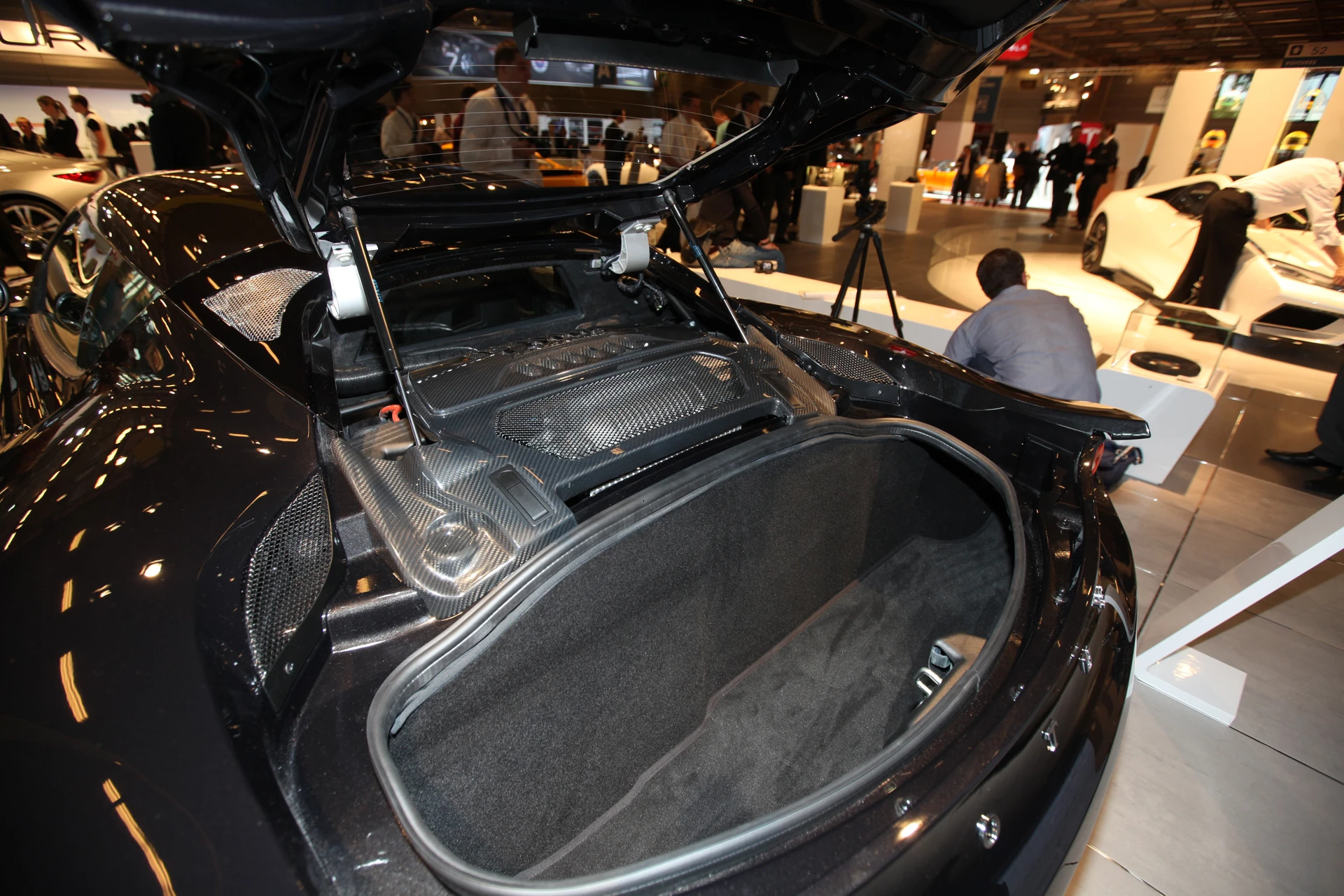 Lotus Eterne