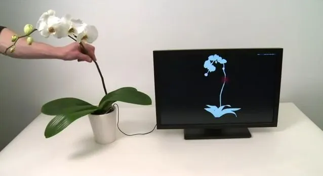 The Botanicus Interactus system allows plants to be used to control electronic devices such as computers