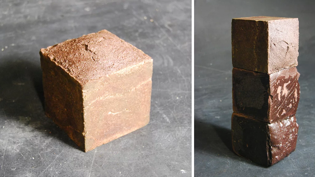 The "Blood Bricks" created by British architecture school graduate Jack Munro