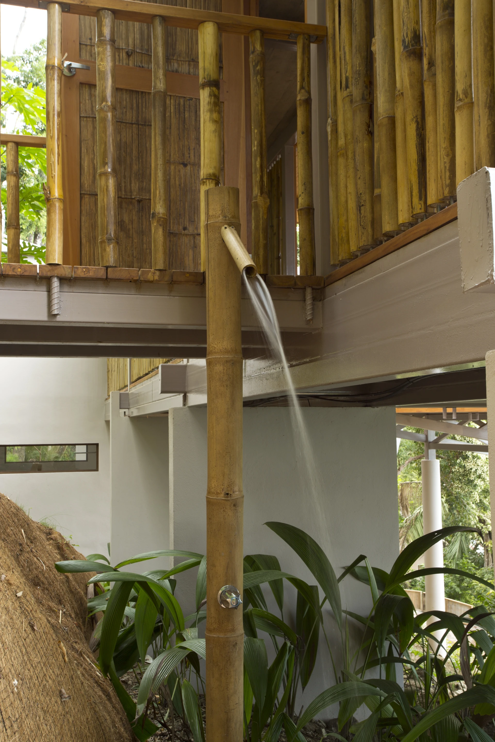 The house sports a rainwater collection system (Photo: Benjamin Garcia Saxe Architecture)