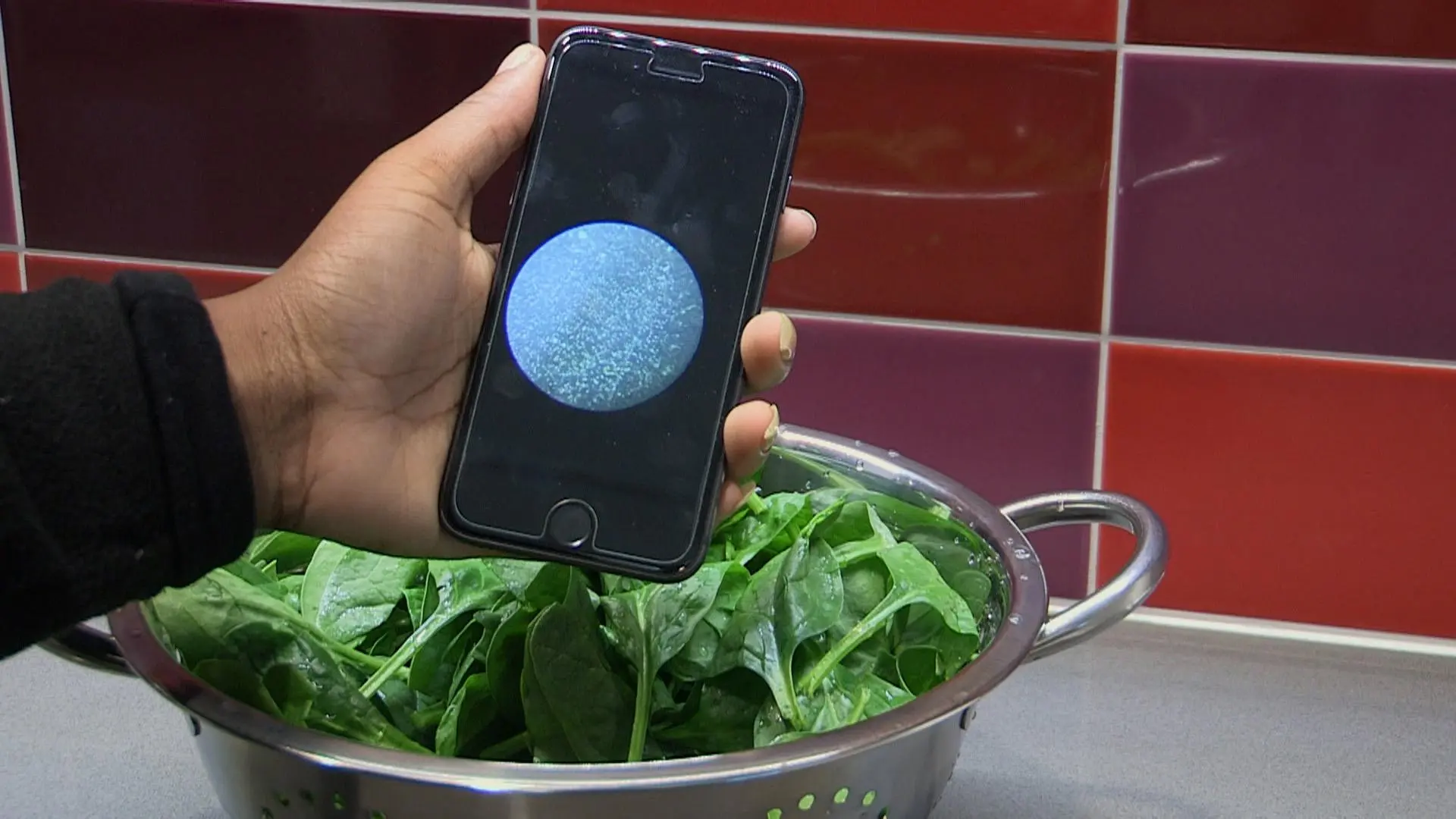 The system incorporates a bacteria-binding chip, a simple microscope and a smartphone app