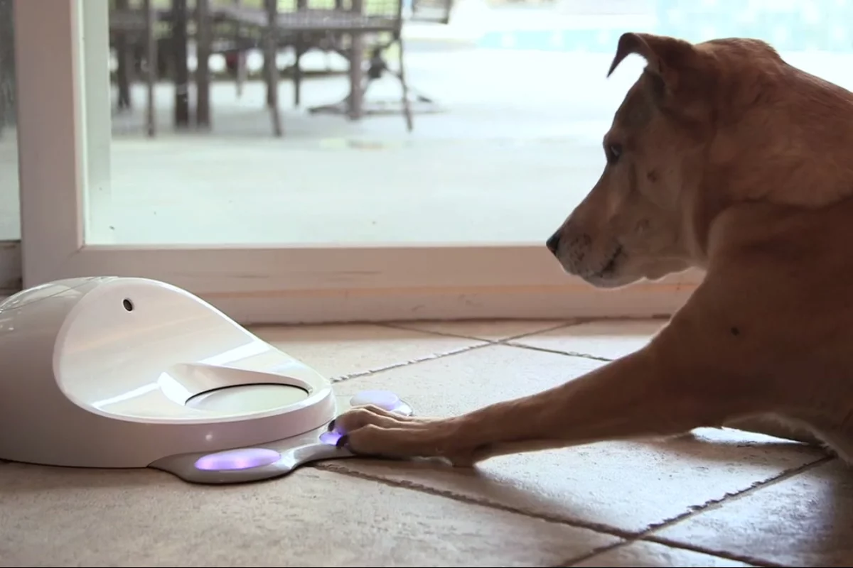 CleverPet is designed to keep your dog stimulated while you're away