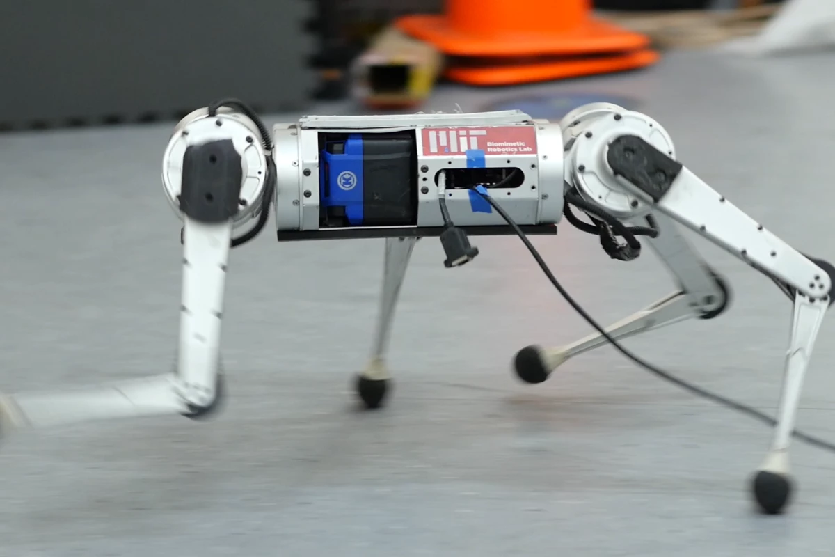 The mini cheetah can adapt to unexpected terrain