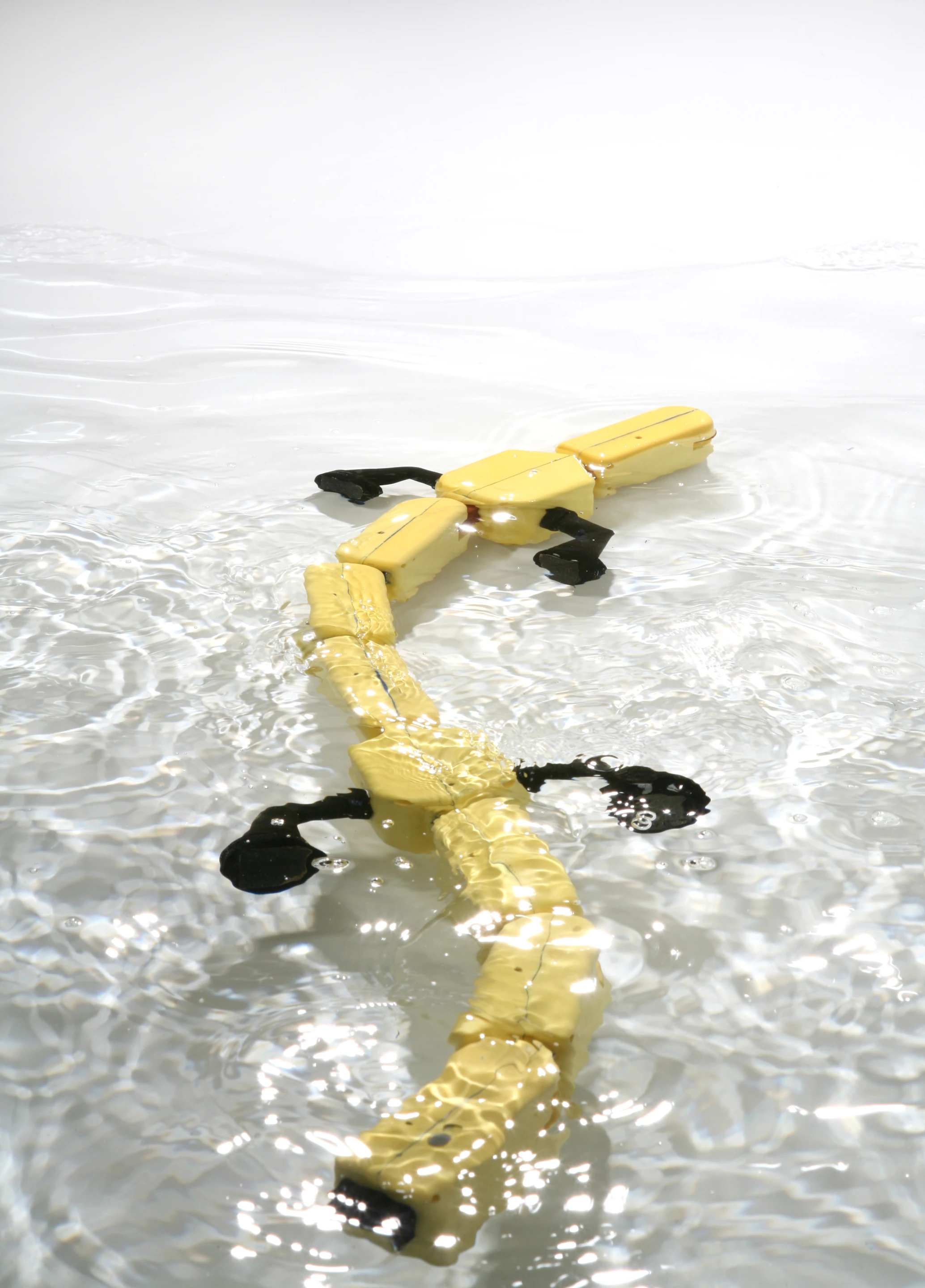 Salamandra robotica mimics a salamander by undulating its whole body to swim (Photo Credit: A. Herzog, Biorobotics Laboratory, EPFL)