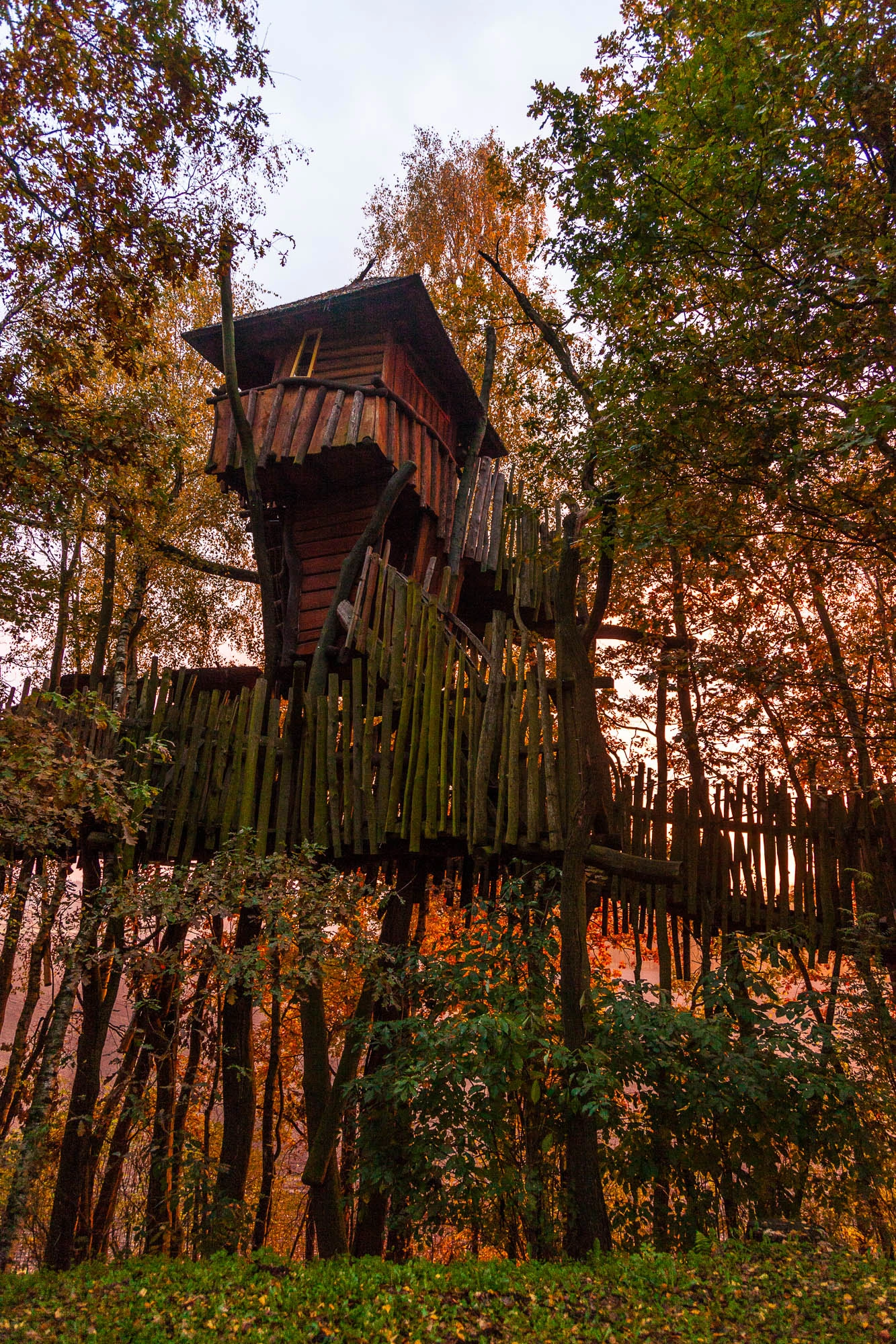 Kulturinsel Einsiedel: the treehouse hotel