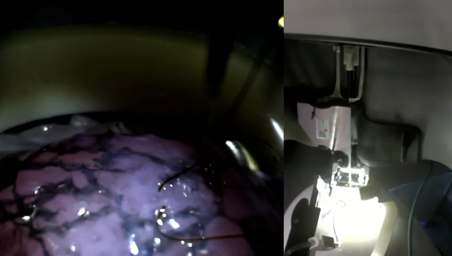 The R1 robot performed a live demonstration, poking 64 threads into a "brain proxy" in 15 minutes