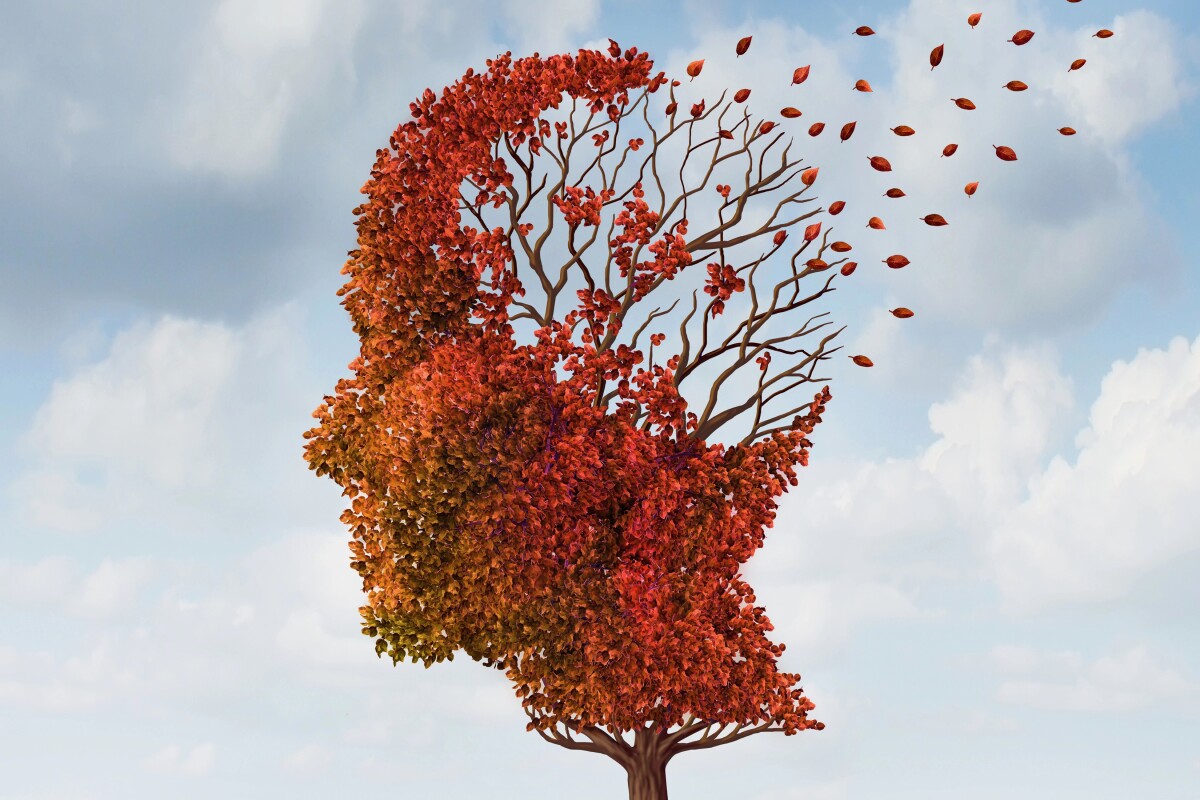 Experimental molecule may be a potent weapon against Alzheimer’s