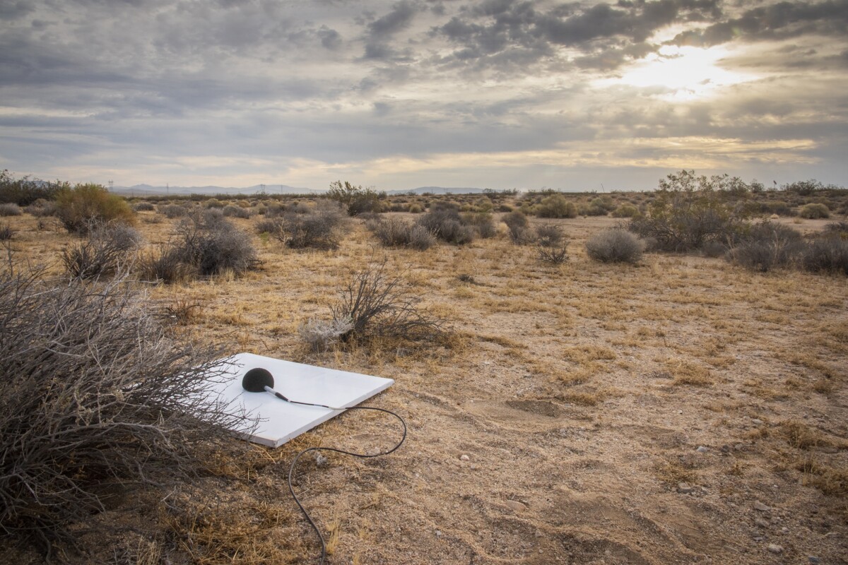 CarpetDIEM array