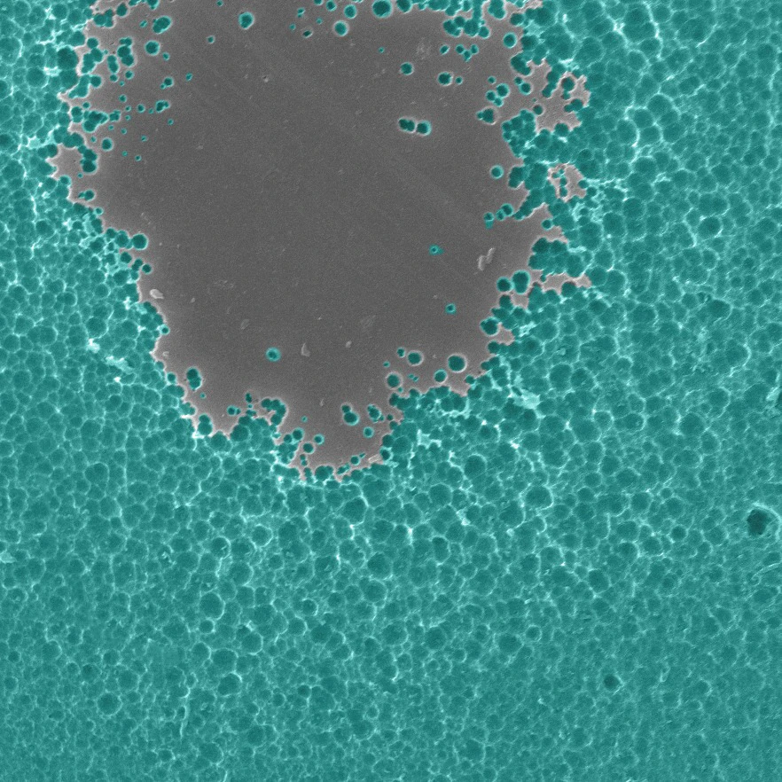 A close-up electron microscope image of the newly engineered enzyme degrading PET plastic