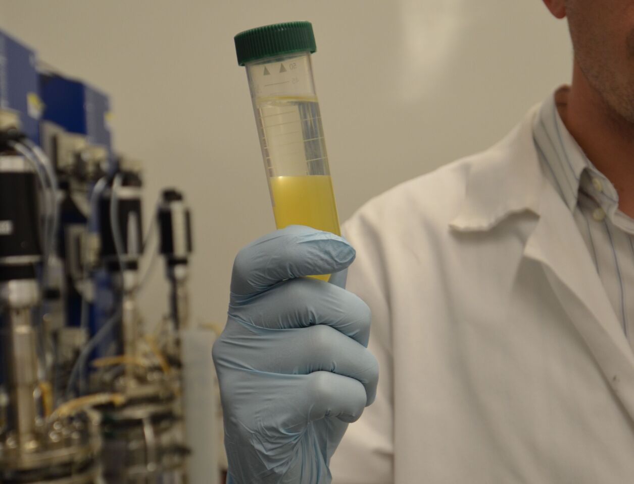 The clear liquid at the top of the vial extracts the acetone and butanol, separating the chemicals from the fermenting brew while protecting the bacteria, which are killed by high concentrations of the chemicals (Photo: Robert Sanders, UC Berkeley)
