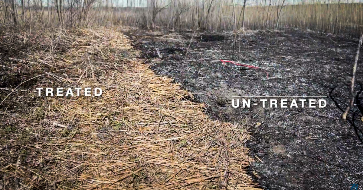 Innovative wildfire protection spray hijacks your garden hose