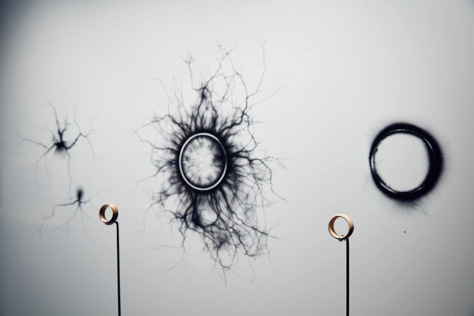 Installation image of Sean O’Connell Material studies: Spark rings 2015 on display in NGV Triennial at NGV International, 2017. Here O'Connell bombarded rings made of different materials with electricity and using photographic paper created these images displaying how the energy traveled out of each material