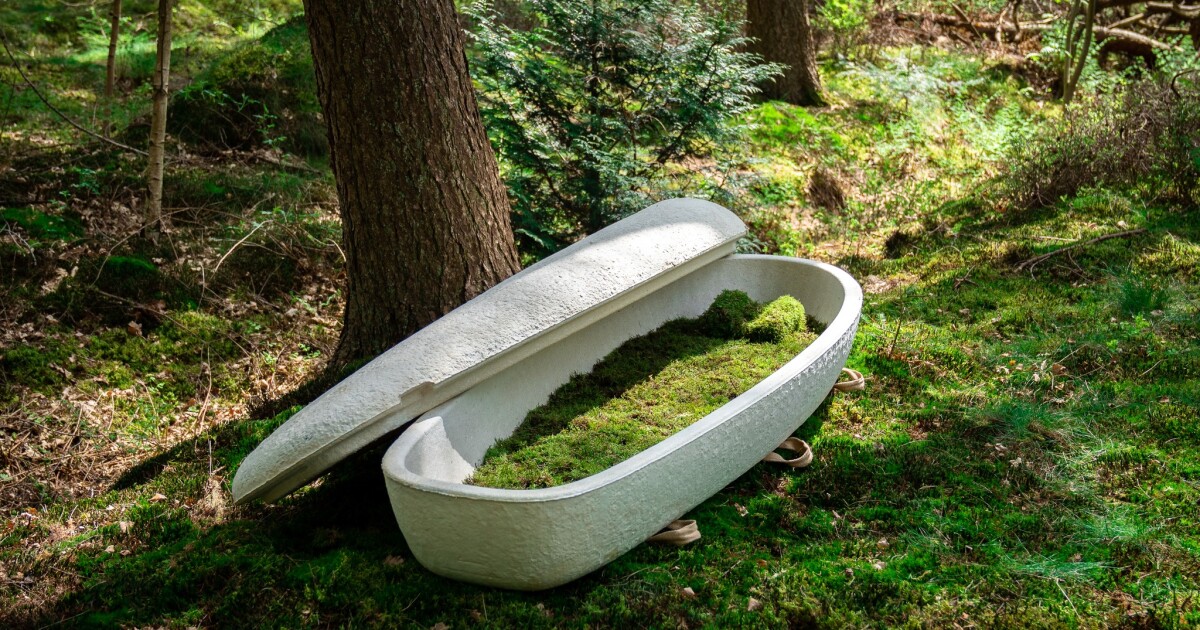 World's first biodegradable mushroom coffin decomposes in 45 days