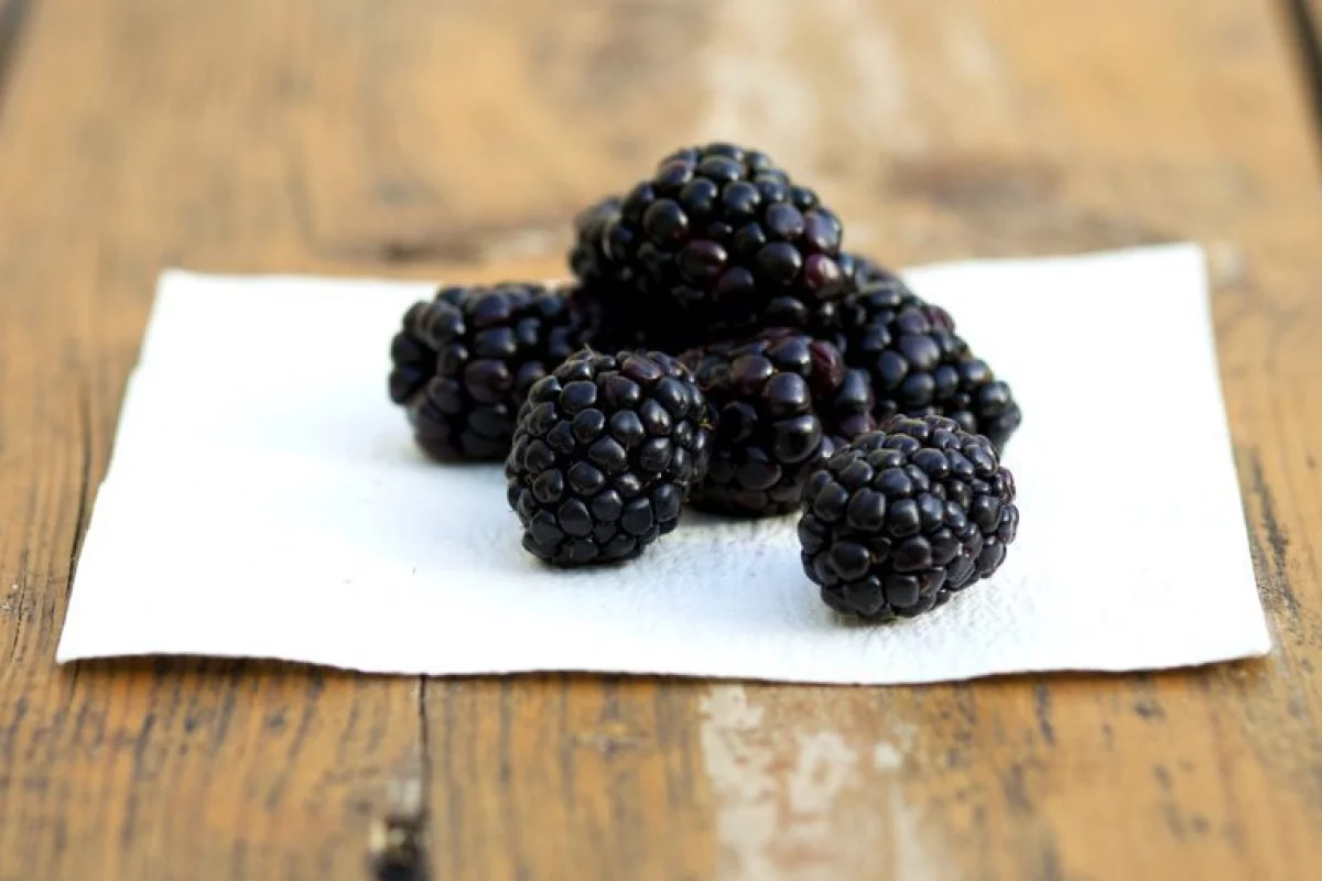 FreshPaper is herb-infused paper, that is claimed to prolong the shelf life of fresh fruits and vegetables