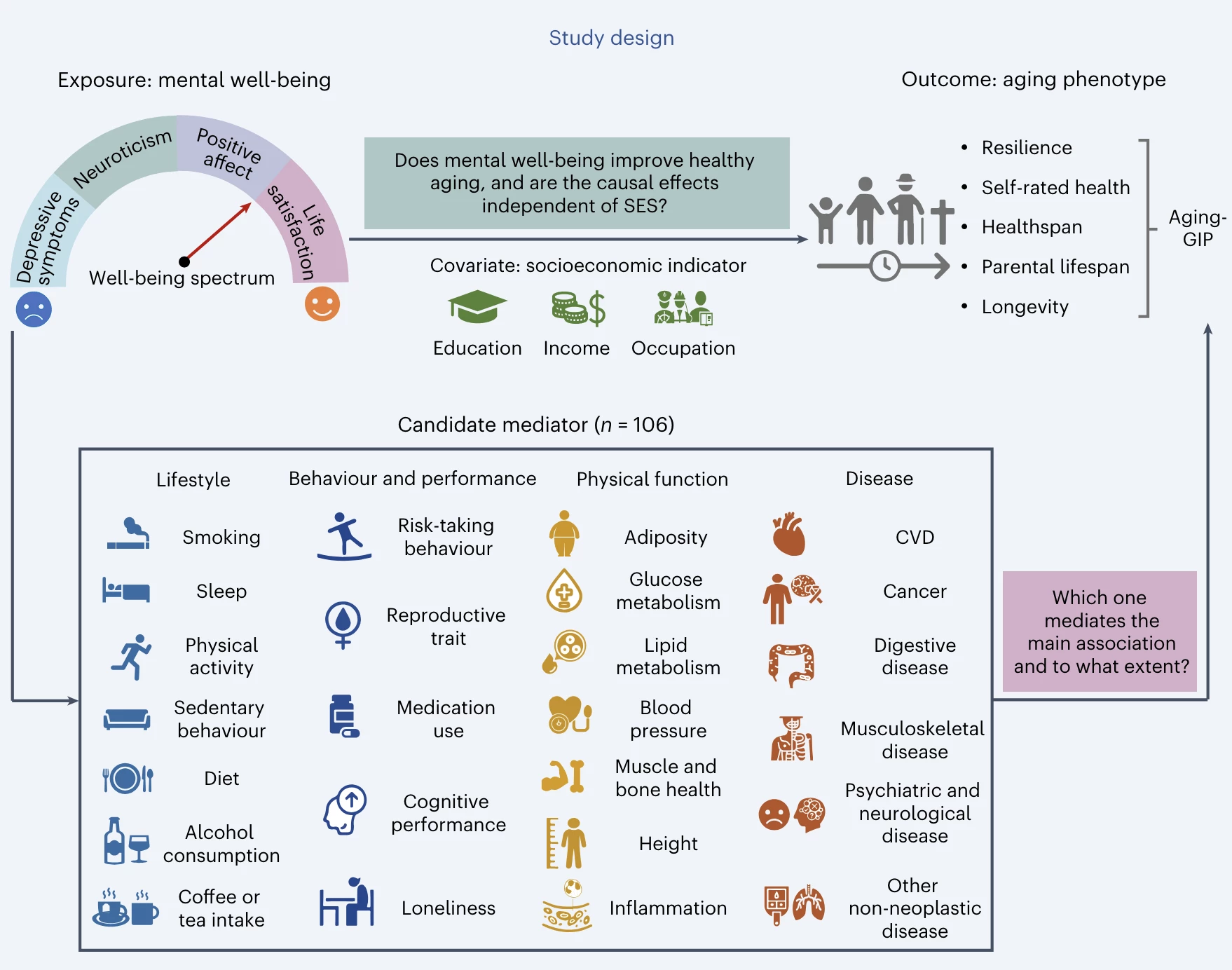 The study design aimed to synthesize complex health factors into what the main barriers are to achieving mental well-being as we age