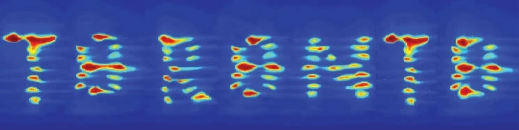 An example of how precisely the device can place cells within the hydrogel