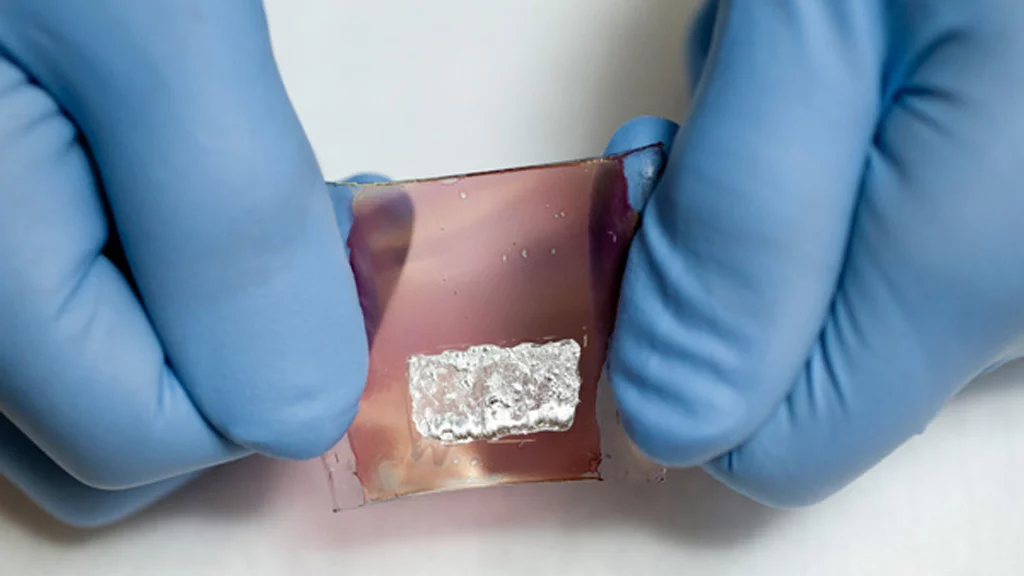 The flexible organic transistor, made with flexible polymers and carbon-based materials, that forms the foundation for the artificial skin (Image: L.A. Cicero)