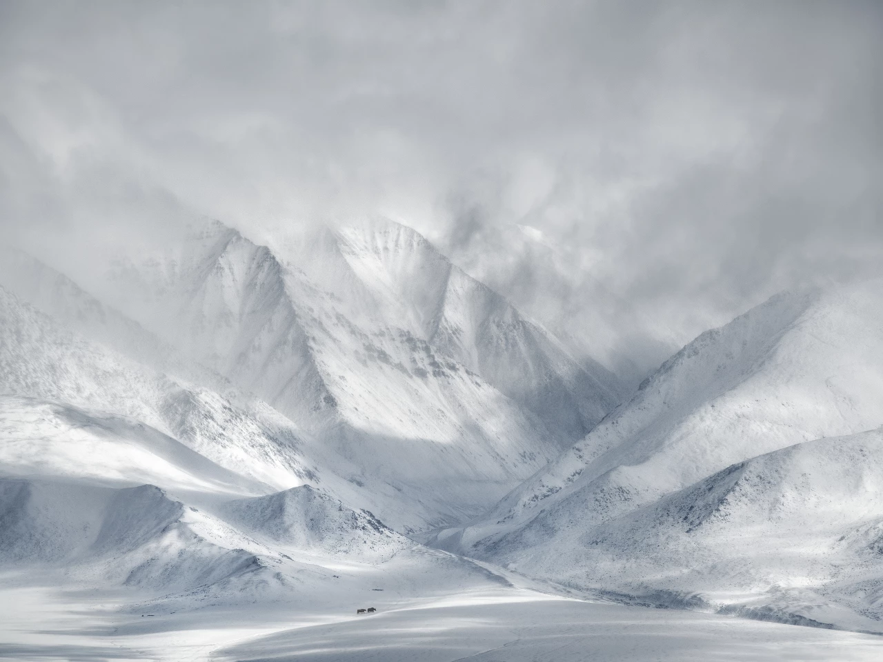 Winner of the Wildlife in Landscape Award