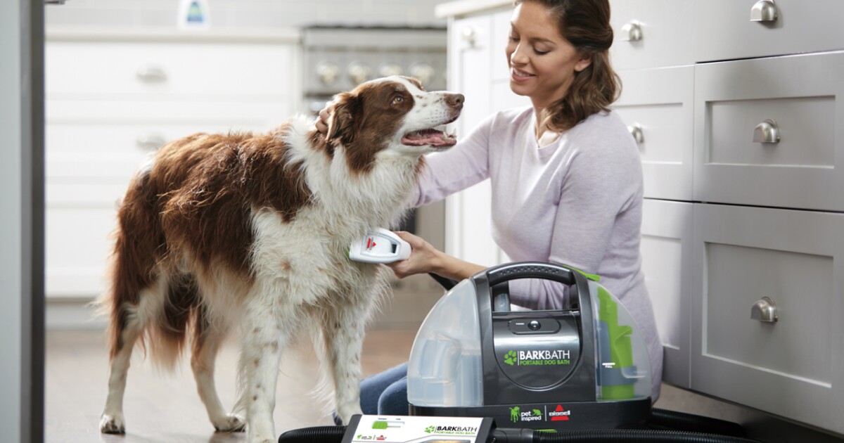 Portable dogwasher cleans your canine like it's a rug