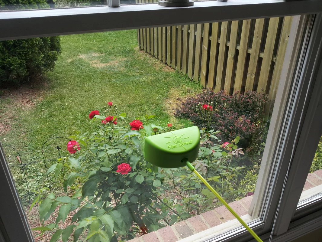 Users simply stick the Solar Chaser in a sunny window