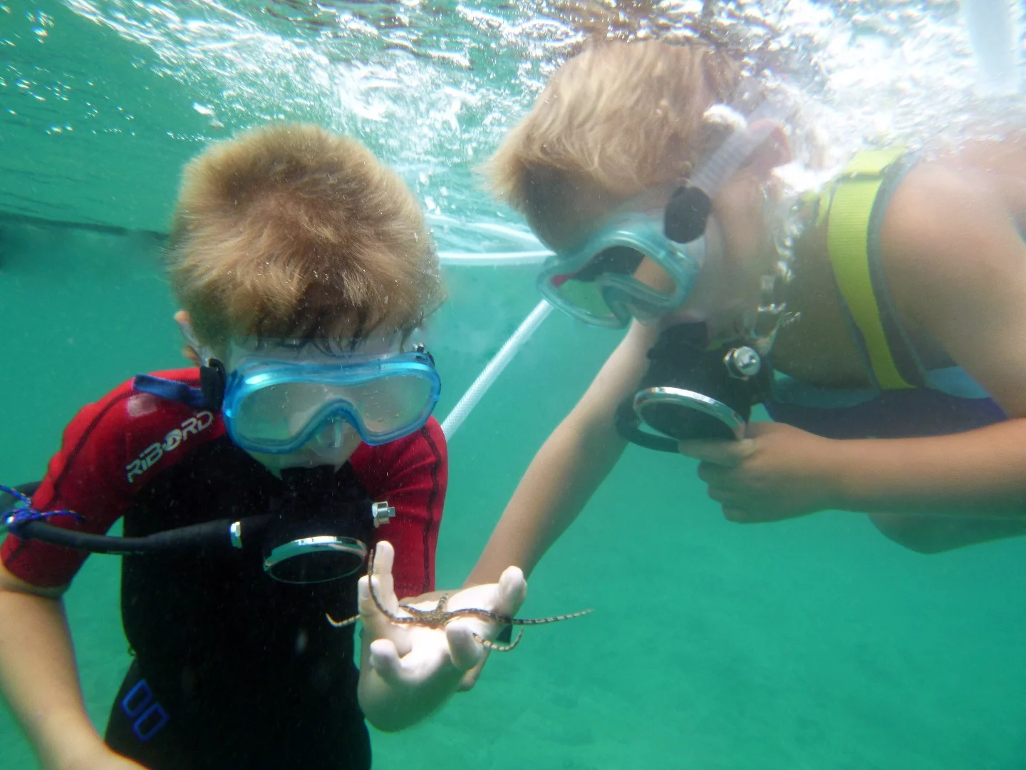 The Snorkel Dive helps get kids comfortable with scuba diving
