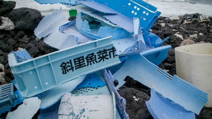 Blue plastic collected