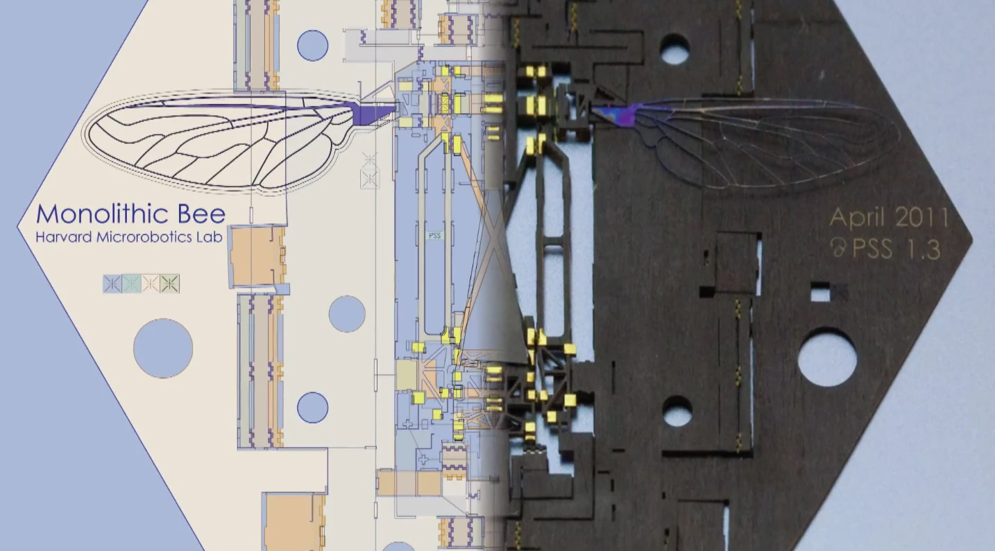 Half and half: a drawing and photo of the Mobee and scaffold in plan view