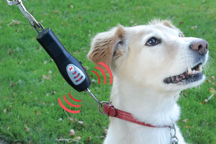 The Tug-Preventing Dog Collar trains dogs to not pull on the leash by emitting an ultrasonic tone