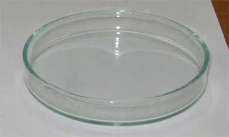 The traditional Petri dish