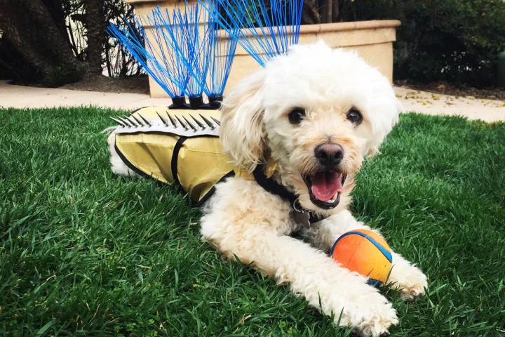 The result is an armored vest designed to protect small animals in a few different ways