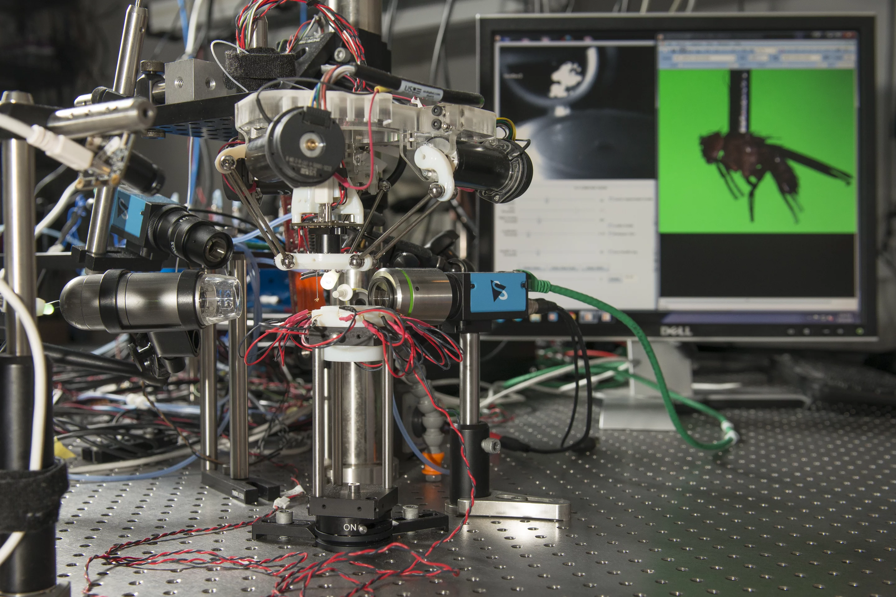 This robot's ability to quickly capture and identify fruit flies allows new areas of research and frees scientists from drudgery