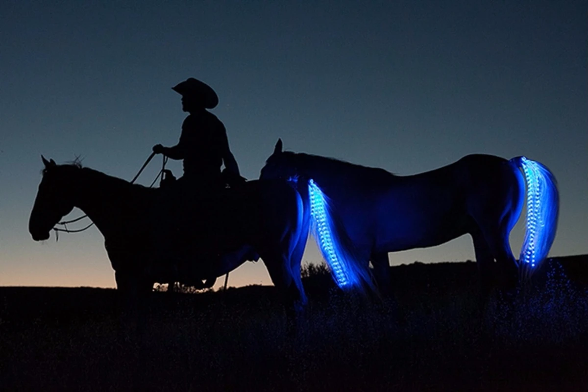 It may look showy, but the Tail Lights System is intended to warn motorists of horses in the vicinity
