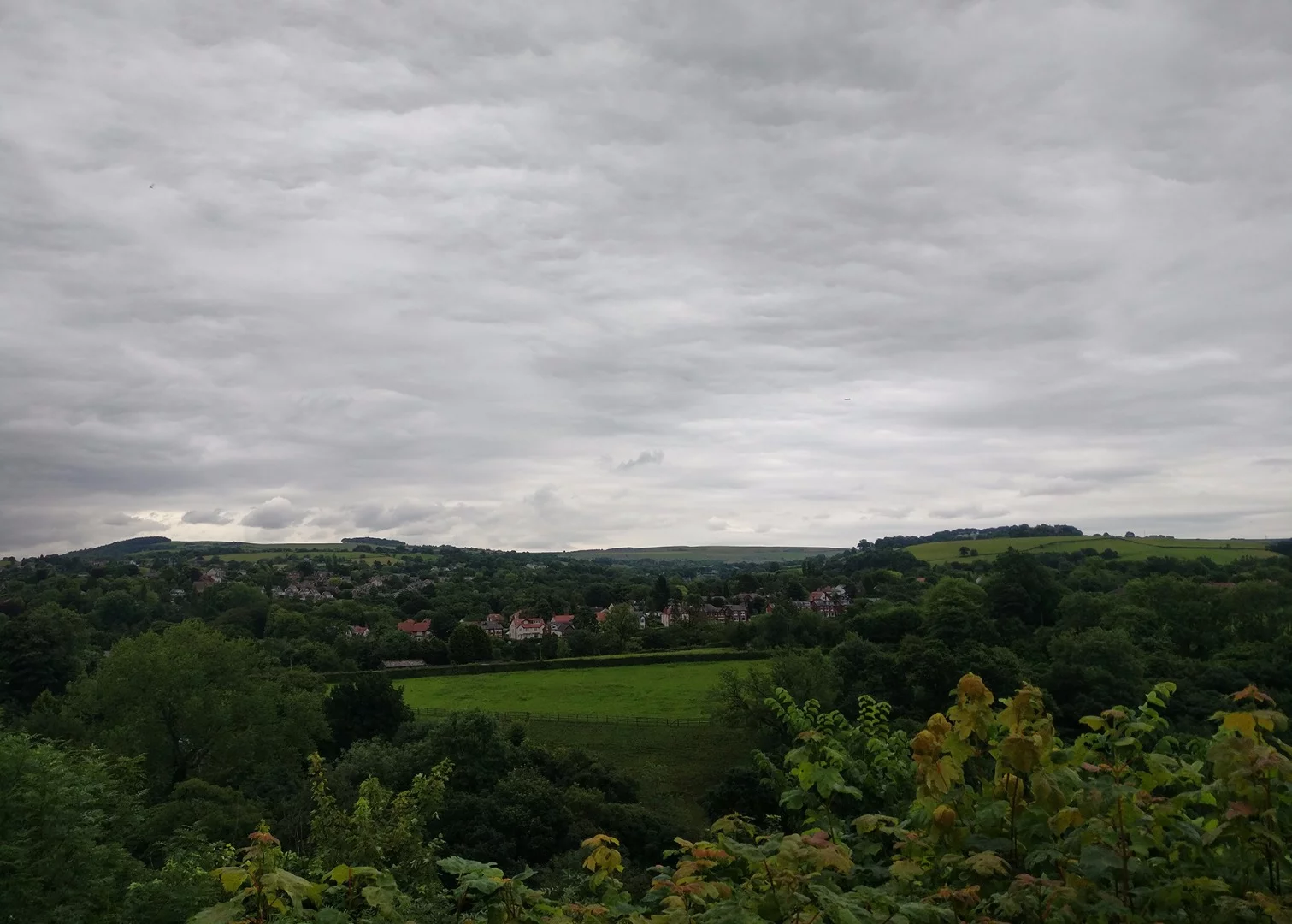 The weather wasn't great when this shot was taken, but the OnePlus 3 camera keeps a lot of detail and captures color accurately