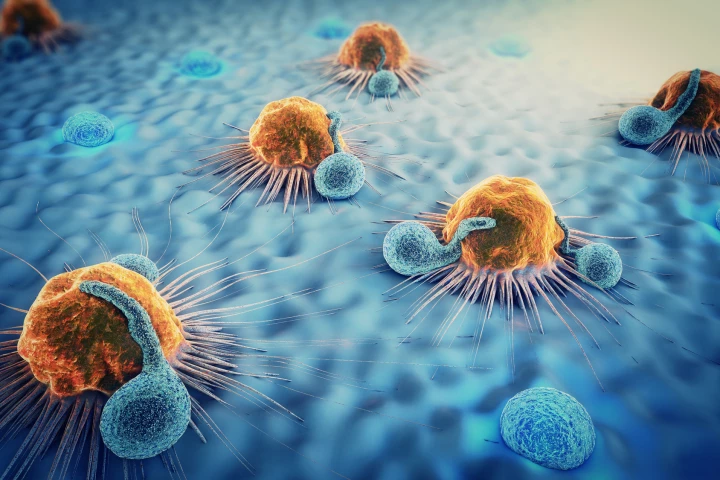 A new study has revealed valuable new insights into the way cancer cells move through the body